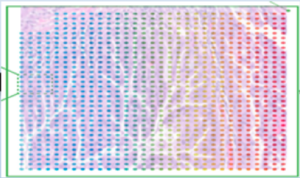spatially-defined transcripts and proteins image